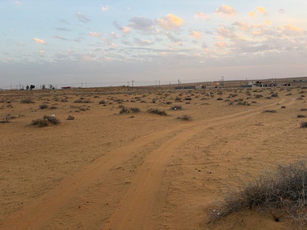 أرض سكنية القوارة