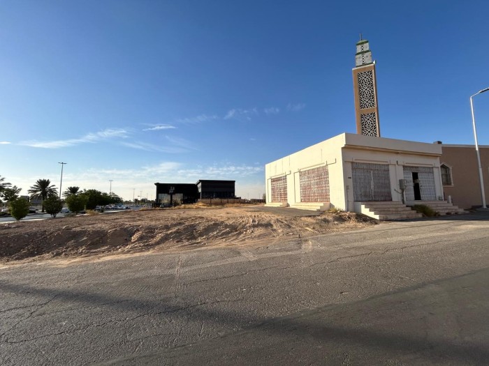 محلين وأرض فضاء 738.05م2 في الريان بريدة