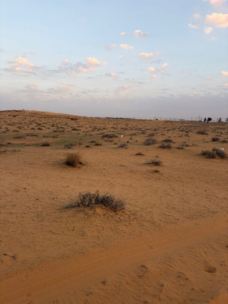 أرض سكنية القوارة