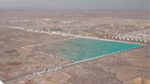 1- ارض خام – النرجس