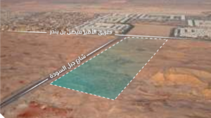 2- أرض خام – النرجس