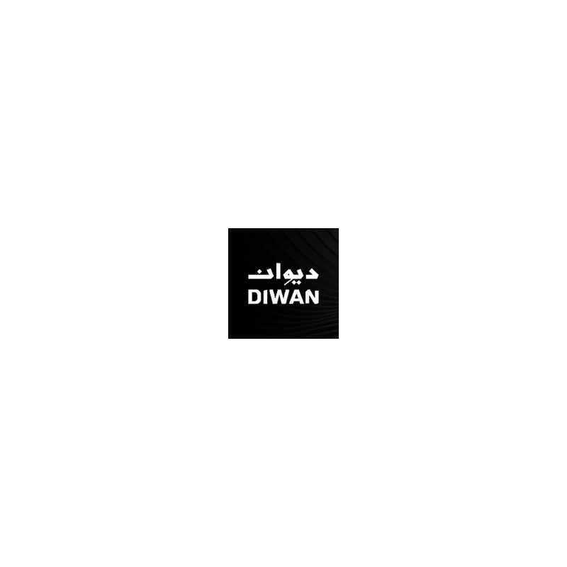 شركة ديوان العقارية
