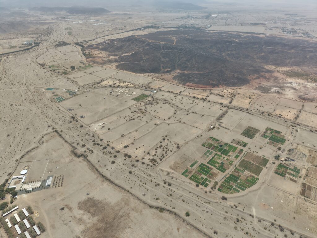 4-أرض زراعية – الشامية