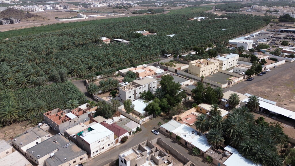 13-فيلا سكنية – بطحاء الشنيبلية بالعيون