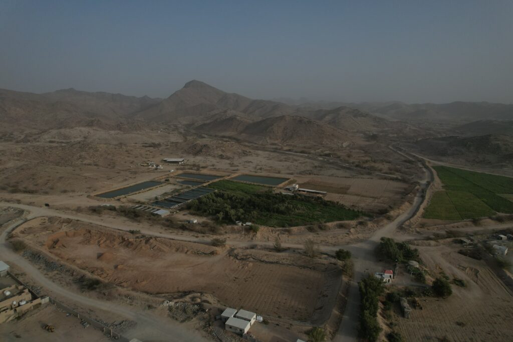 3-أرض – جعرانة