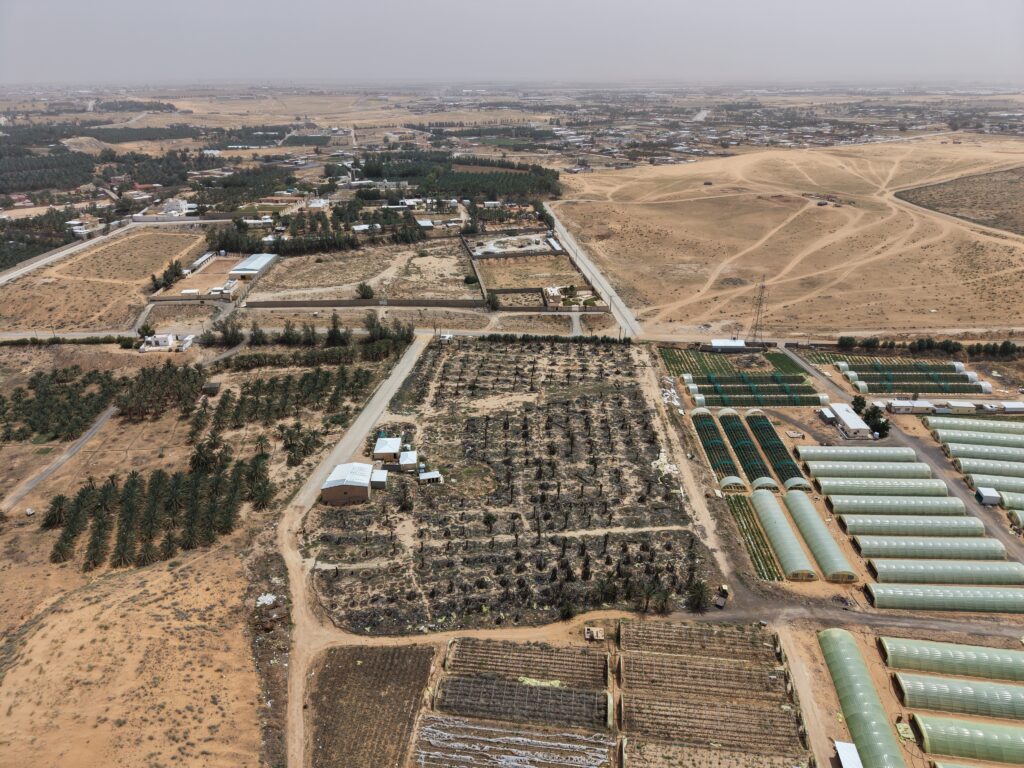 7-مزرعة – الوجيعان