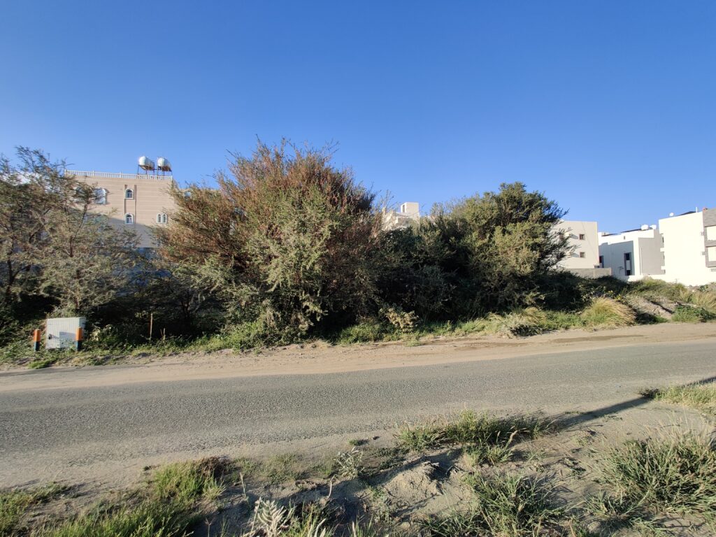 3-أرض سكنية3 بحي الكدى فى الطائف