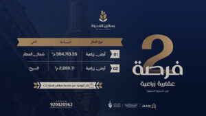 مزاد بساتين المدينة