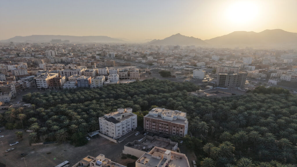 2-مزرعة نخيل بحي السيح