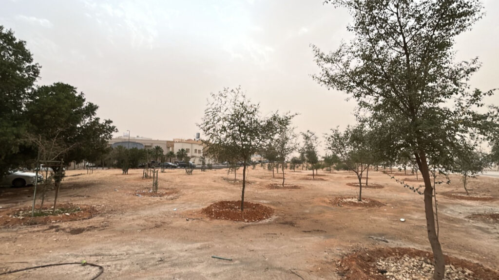 2- 6قطع بثلاث واجهات