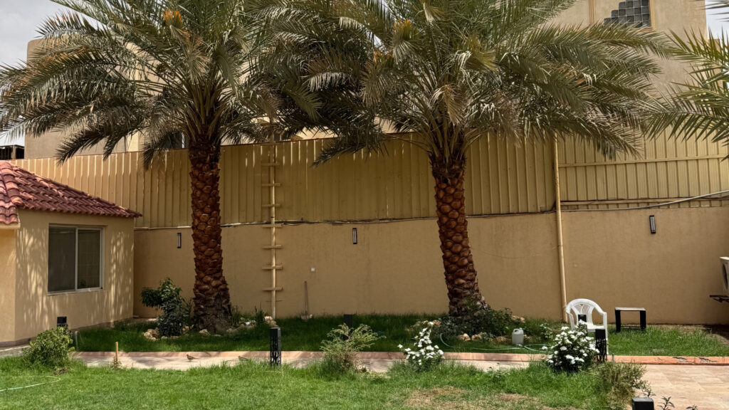 1-عمارة سكنية