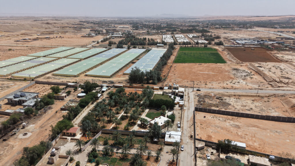 2-مزرعة بمدينة جو