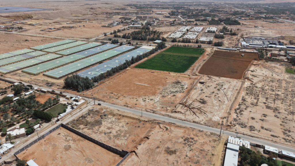 2-مزرعة بمدينة جو