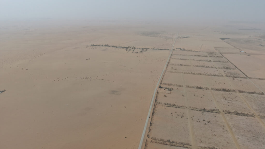 6-ارض في ضرماء