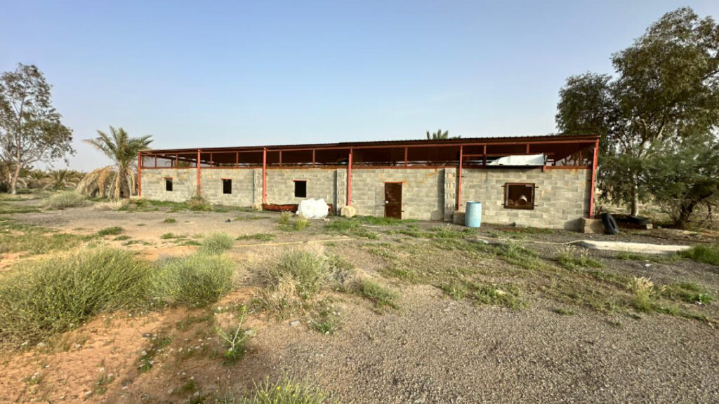 3-مزرعة