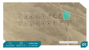 1-أرض سكنية بحي الشرائع ( ثول ) بمساحة 900 م² في مدينة جدة