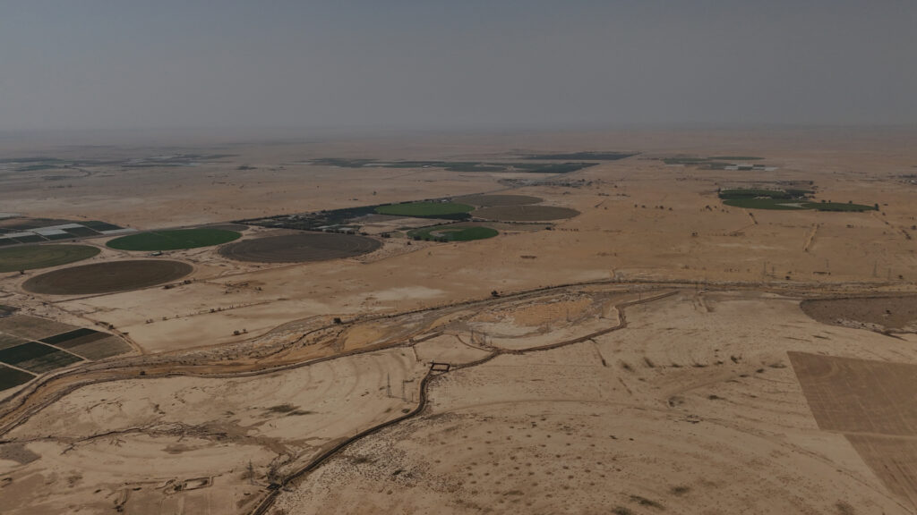 5- ارض في الدلم الرغيب