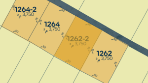 29- قطعة رقم 1262 / 2