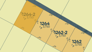 30- قطعة رقم 1264 / 2
