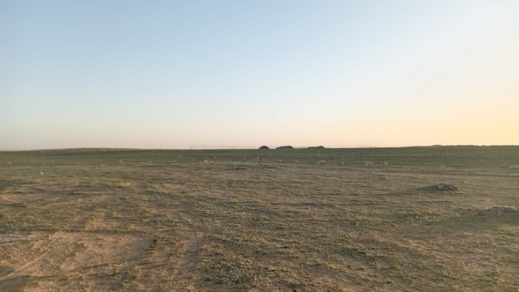 07 – ﻣﺰرﻋﺔ بمدينة البكيريه – بمساحة 826120 م²