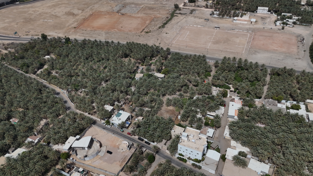 17- مزرعة بحي عين مرجان بصك 360602005940 – 360653009052