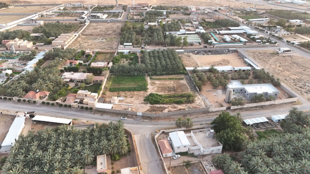 12- مزرعة مسورة بمساحة 12932 م² في مدينة عنيزة