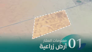 1-أرض زراعية 400,000م2 بحي القرنة أراضي الروسان