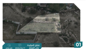 1- ارض زراعية بمساحة 1750 م² في مدينة تنومة