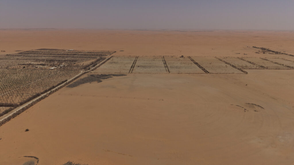 16-ارض في ضرماء