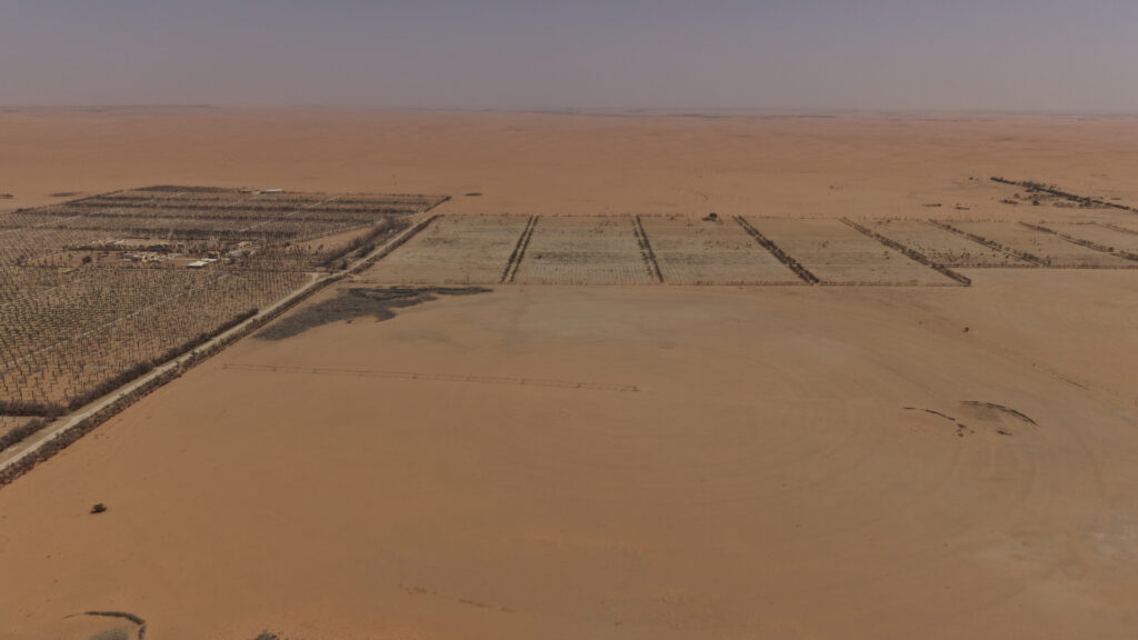 17-ارض في ضرماء