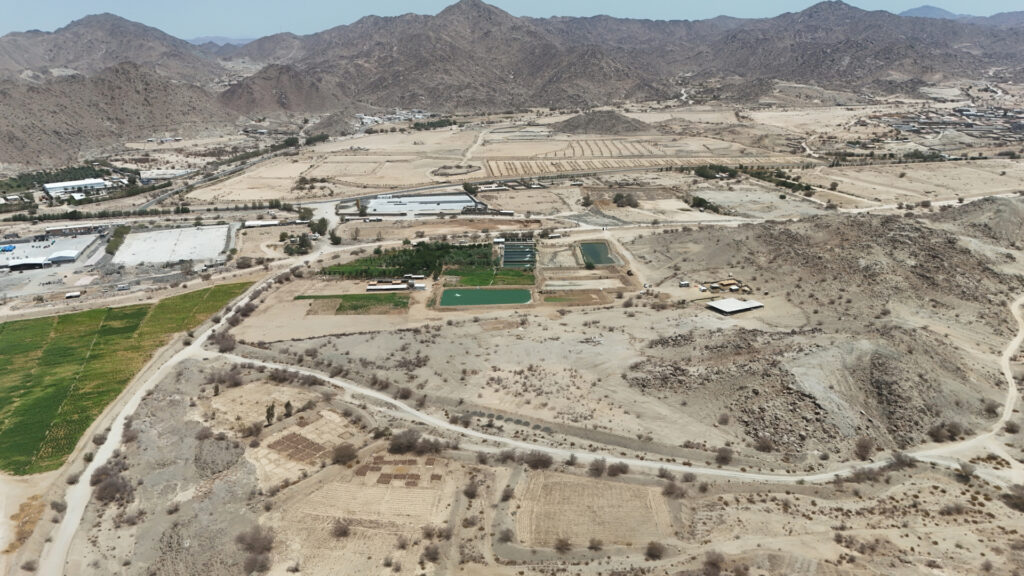 21-أرض – جعرانة
