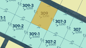 3-قطعة رقم 309