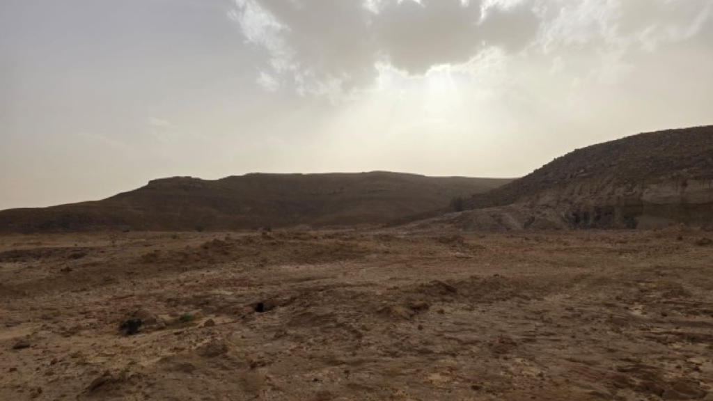5- أرض زراعية بمساحة 3762464.85 م² في مدينة المزاحمية