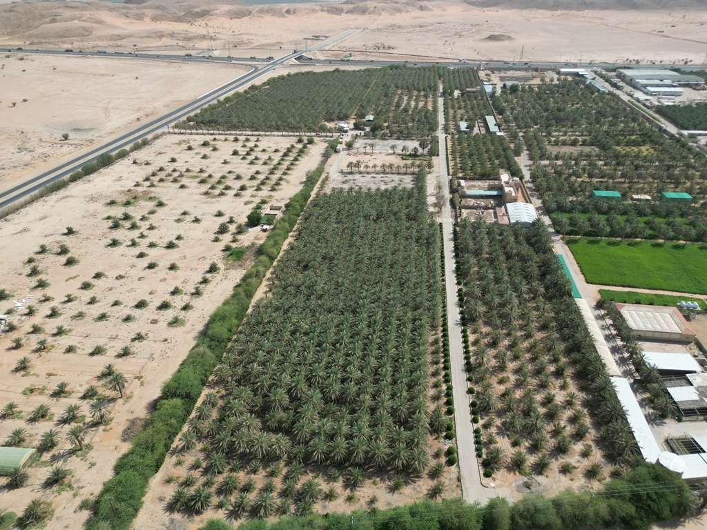 9-مزرعة بمساحة 155417.55 م² في مدينة الخرج