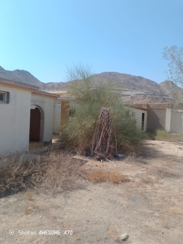 8-إستراحة سكنية – الهجلة الجديد
