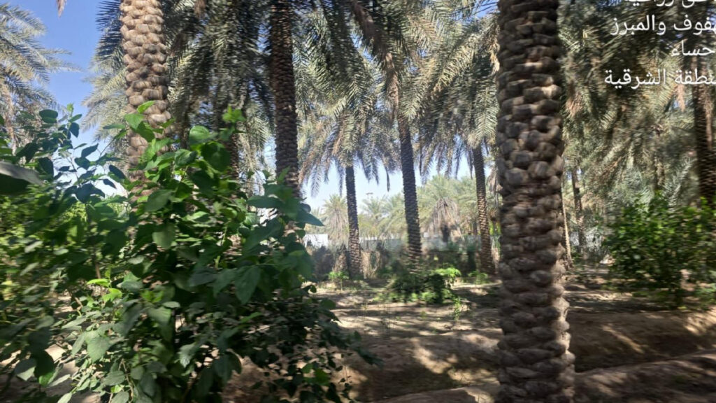 3-مزرعة بحي السحيمية