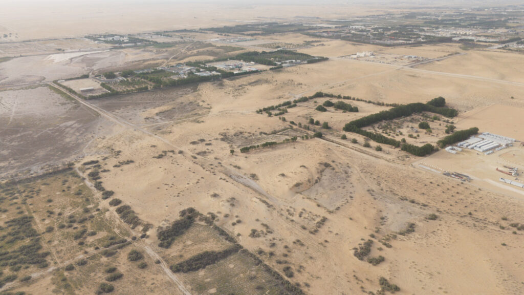 12-أرض زراعية بمدينة الجبيل