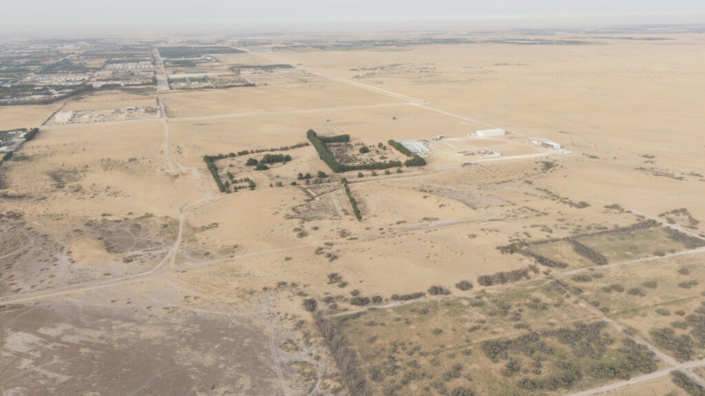 12-أرض زراعية بمدينة الجبيل
