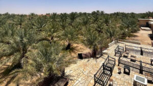 1-مزرعة في ثادق