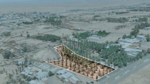 11-مزرعة