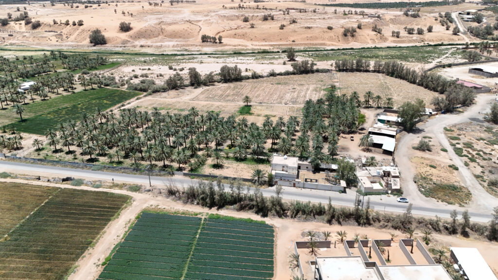 3-مزرعة بحي وادي الجناح