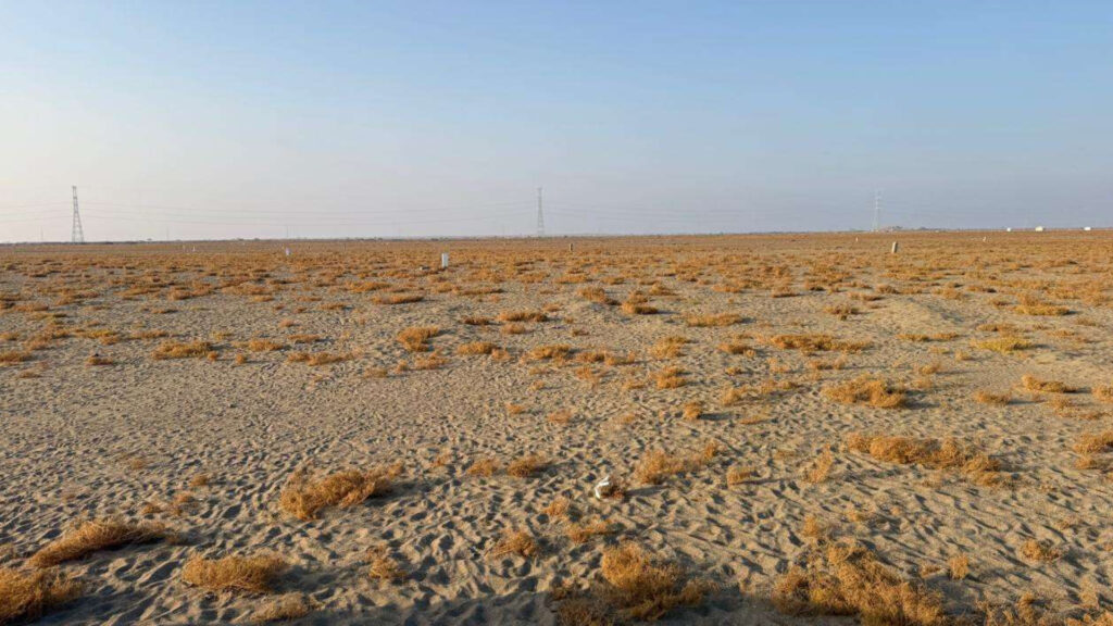 1- أرض سكنية بحي جوهرة ثول
