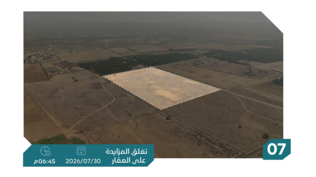 7- ارض زراعية بحي نخلان بمساحة 68617.84 م² في مدينة صبياء