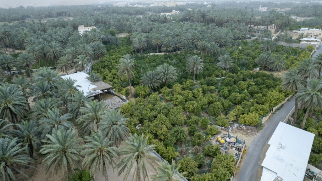 1-مزرعة- البساتين