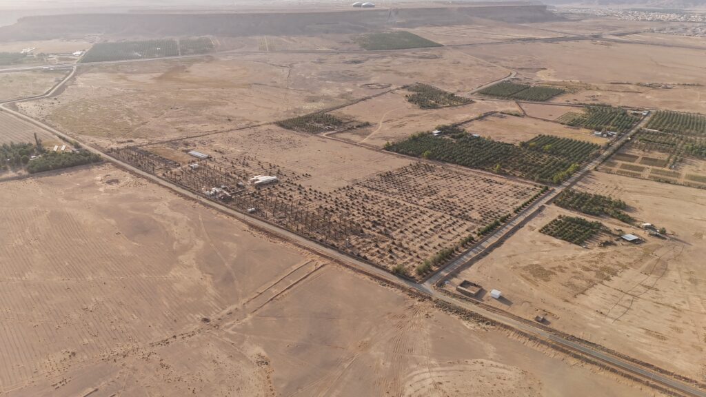2-مزرعة بالغاط بحي حمادة الغاط بمساحة 240823.75 م²