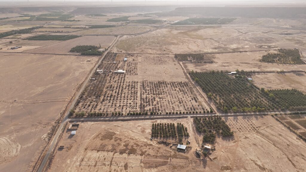 2-مزرعة بالغاط بحي حمادة الغاط بمساحة 240823.75 م²