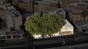 11- مبنى بحي وادي جليل بصك 760683002069
