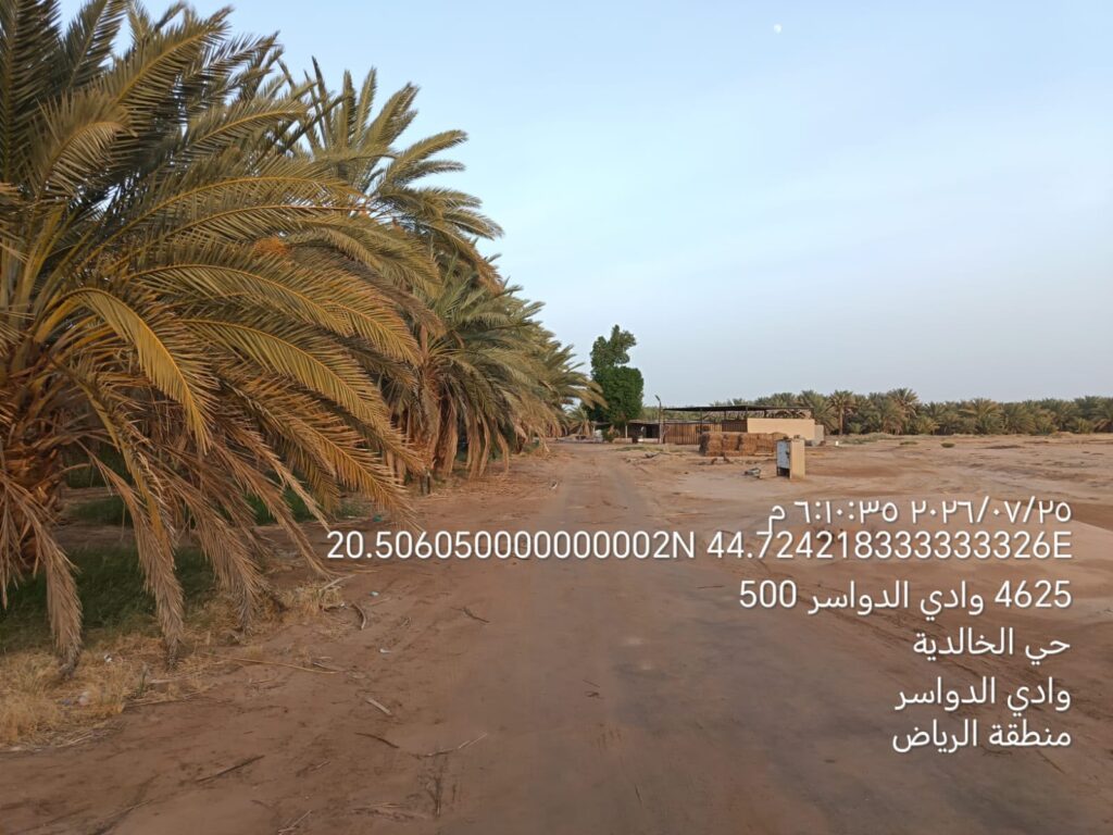 10-أرض زراعية – بها نخيل مثمرة