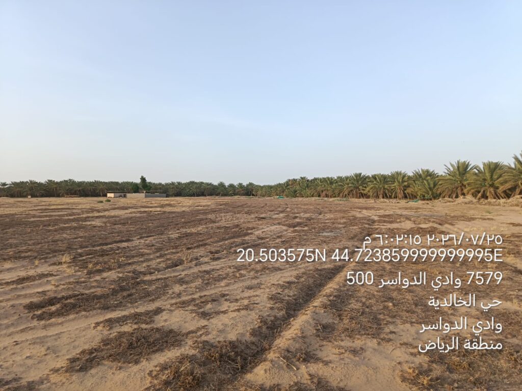 10-أرض زراعية – بها نخيل مثمرة
