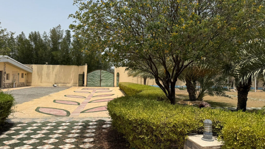 1- أرض زراعية بمدينة القطيف – بمساحة 32627 م²